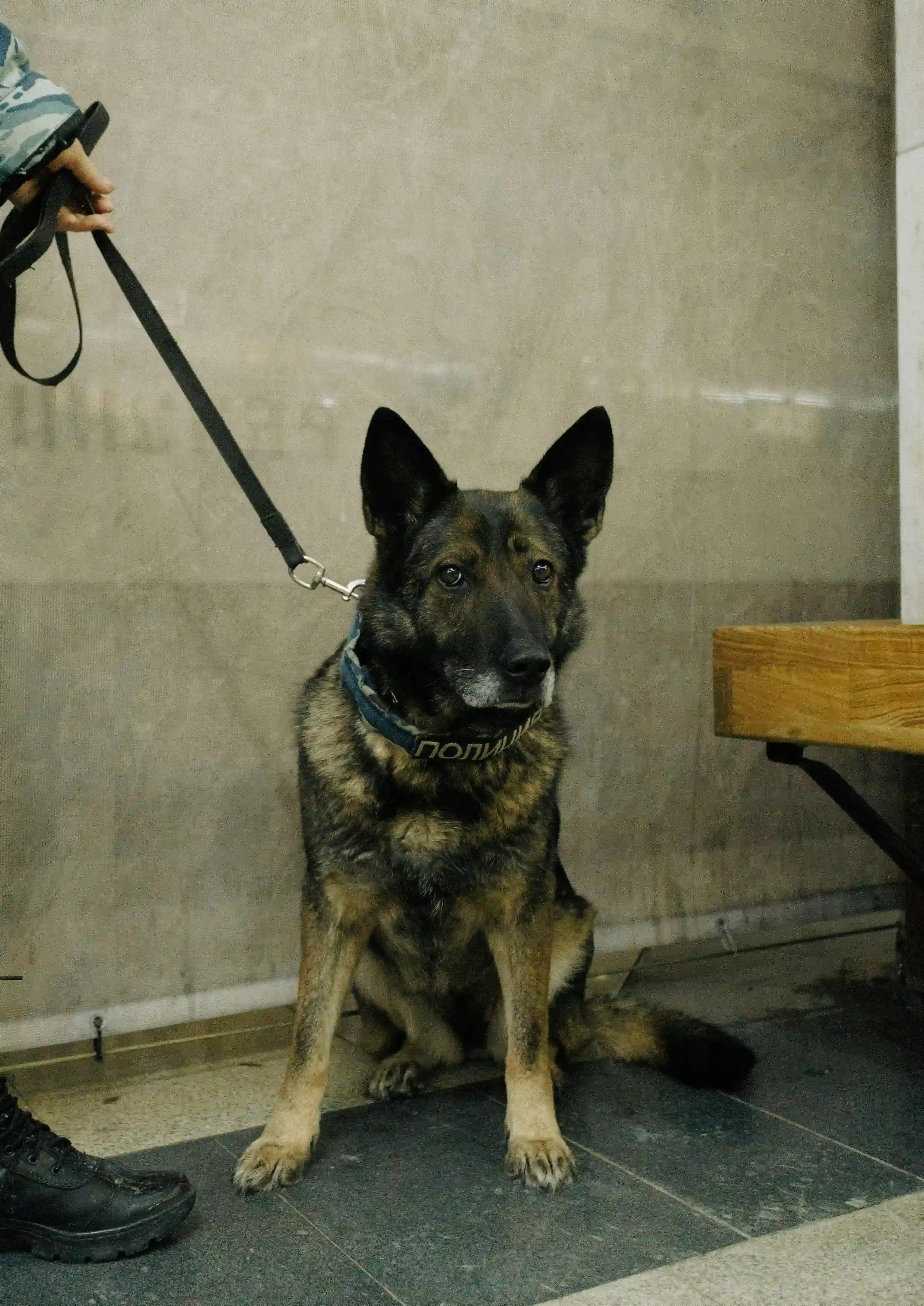 Security personnel monitoring premises with advanced technology